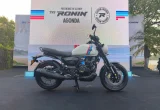 TVS Ronin Agonda Meluncur di Indonesia, Harga Rp37 Jutaan